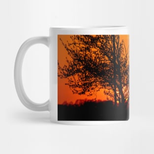 Fiery sunset Mug